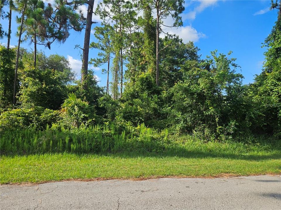 На продажу: $65,000 (0.25 acres)