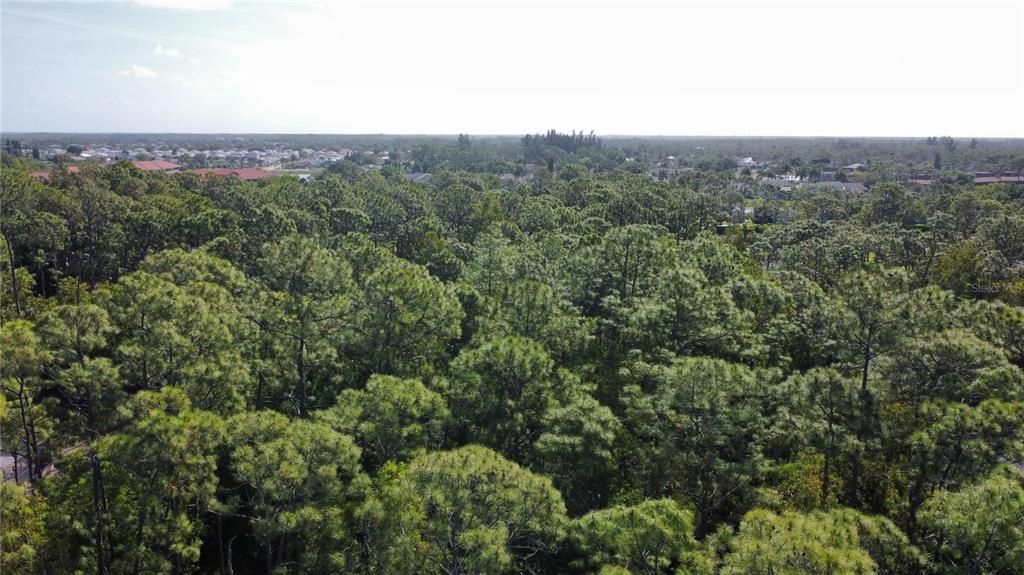 For Sale: $545,000 (1.25 acres)