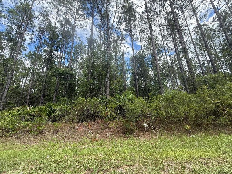 For Sale: $204,000 (17.84 acres)