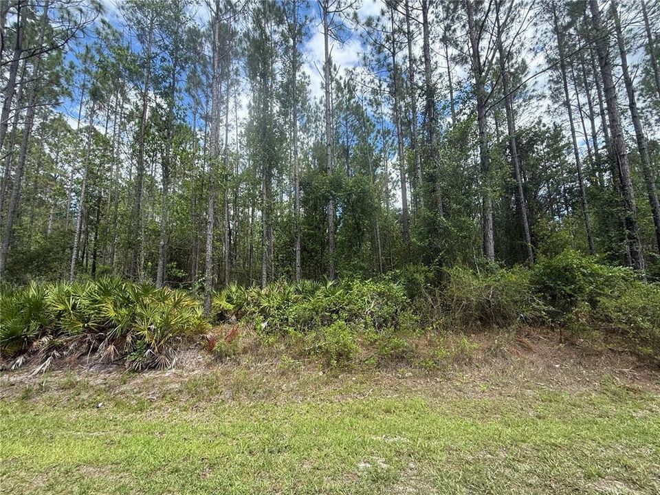 For Sale: $204,000 (17.84 acres)