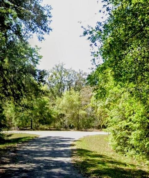 待售: $17,500 (0.23 acres)