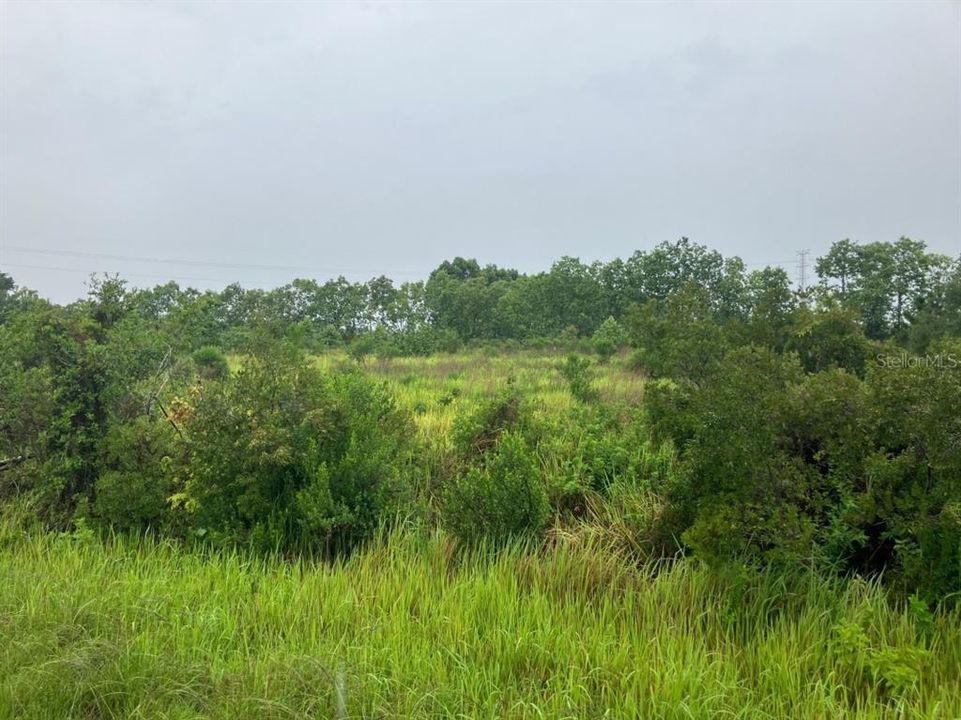 待售: $18,000 (1.09 acres)