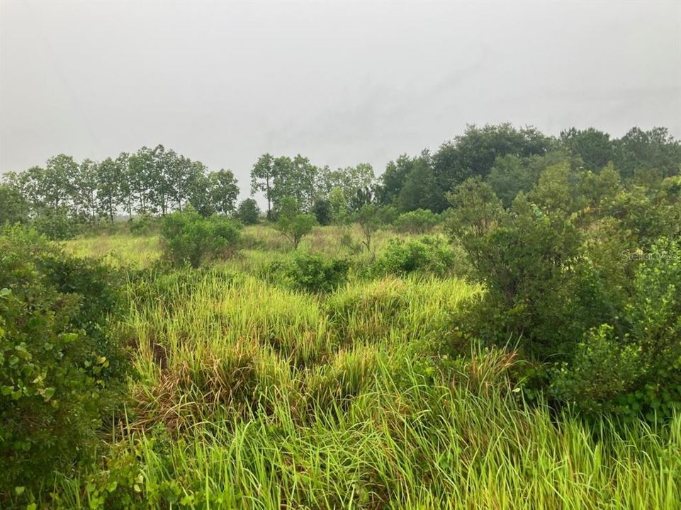 待售: $18,000 (1.09 acres)