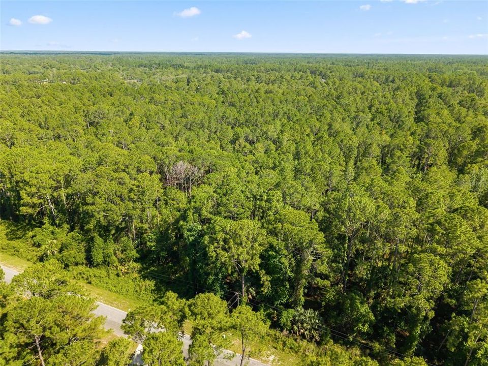 На продажу: $89,900 (1.00 acres)