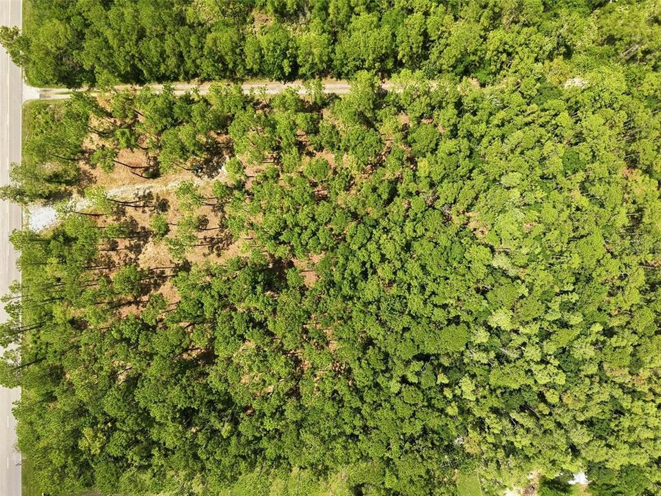 For Sale: $750,000 (4.41 acres)