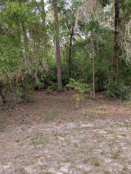 En Venta: $199,000 (4.89 acres)
