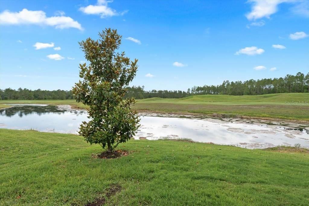 For Sale: $470,000 (3 beds, 2 baths, 1945 Square Feet)