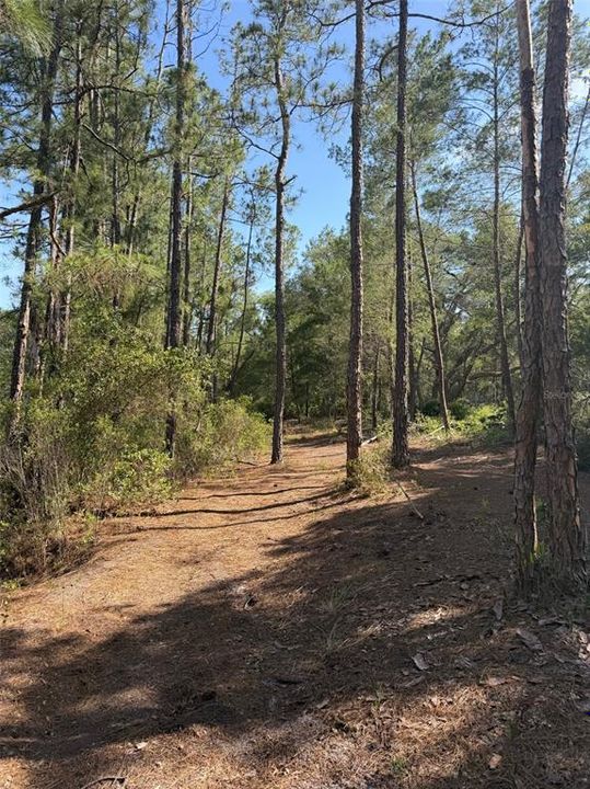 For Sale: $22,500 (0.84 acres)