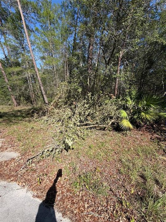 For Sale: $22,500 (0.84 acres)