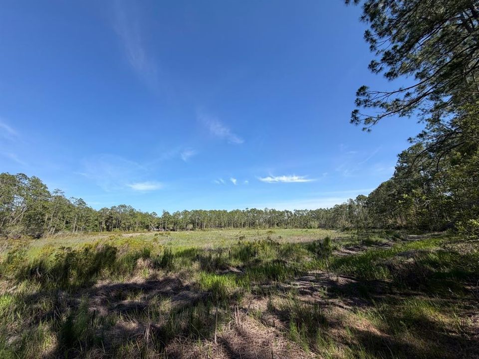 For Sale: $22,500 (0.84 acres)