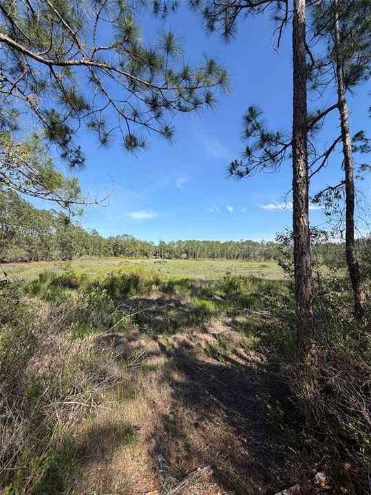 For Sale: $22,500 (0.84 acres)