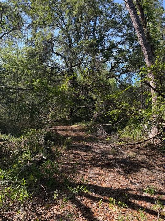 For Sale: $22,500 (0.84 acres)