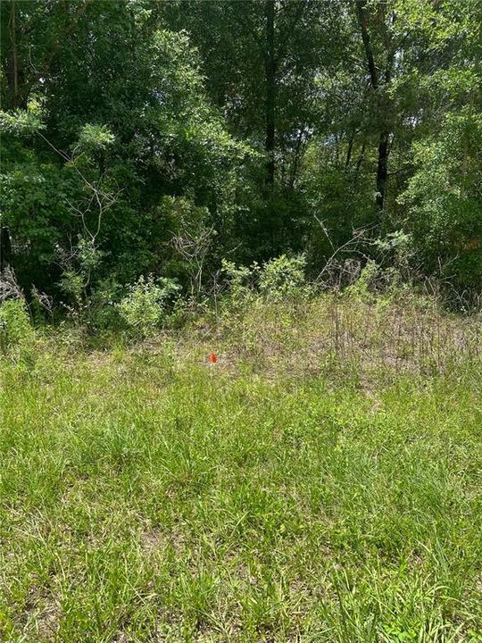 На продажу: $24,900 (0.23 acres)
