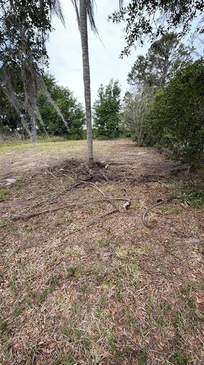 For Sale: $30,000 (0.16 acres)