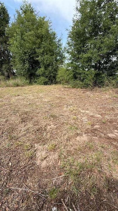 For Sale: $30,000 (0.16 acres)