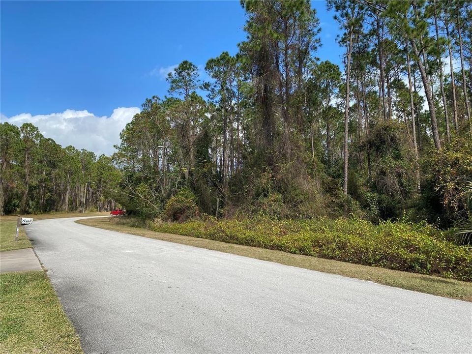 For Sale: $259,000 (5.43 acres)