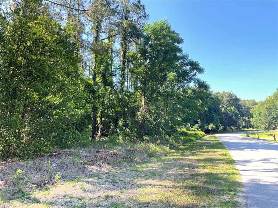 For Sale: $259,000 (5.43 acres)