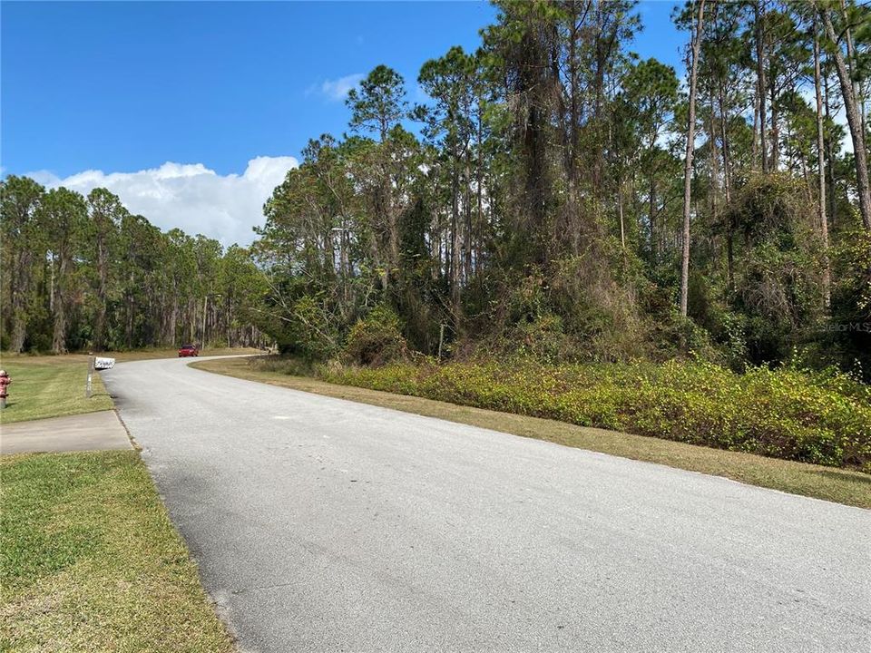 For Sale: $259,000 (5.43 acres)