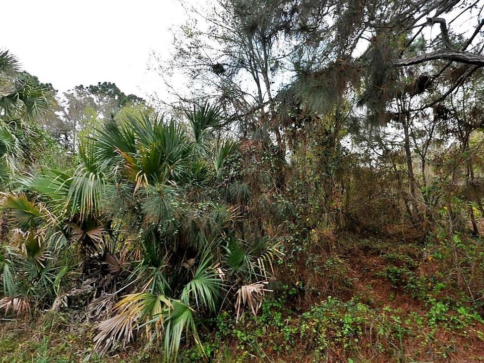 待售: $15,000 (0.24 acres)