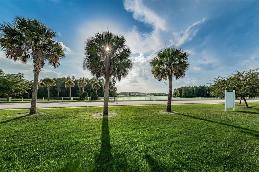 For Sale: $774,999 (5 beds, 4 baths, 3406 Square Feet)
