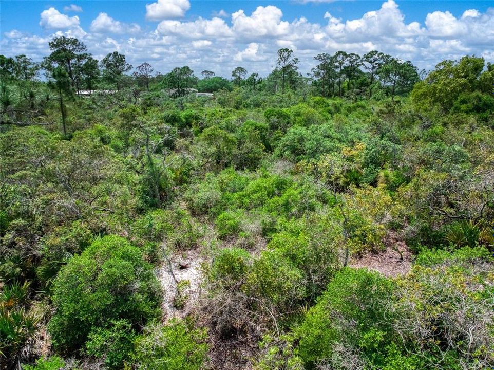 На продажу: $99,000 (4.45 acres)