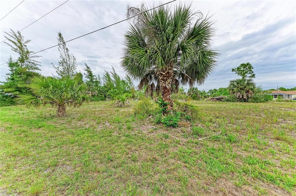 待售: $95,000 (0.23 acres)