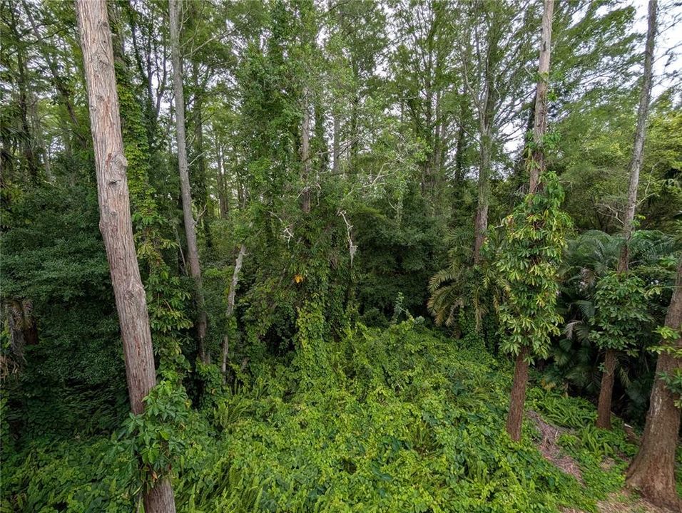 В аренду: $2,100 (2 спален, 2 ванн, 1525 Квадратных фут)