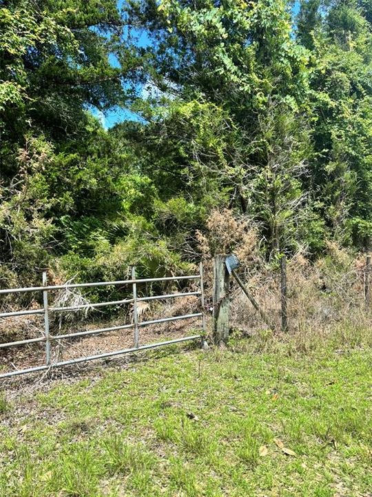待售: $25,000 (0.32 acres)