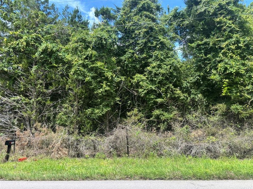 待售: $25,000 (0.32 acres)