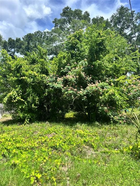 На продажу: $18,000 (0.15 acres)