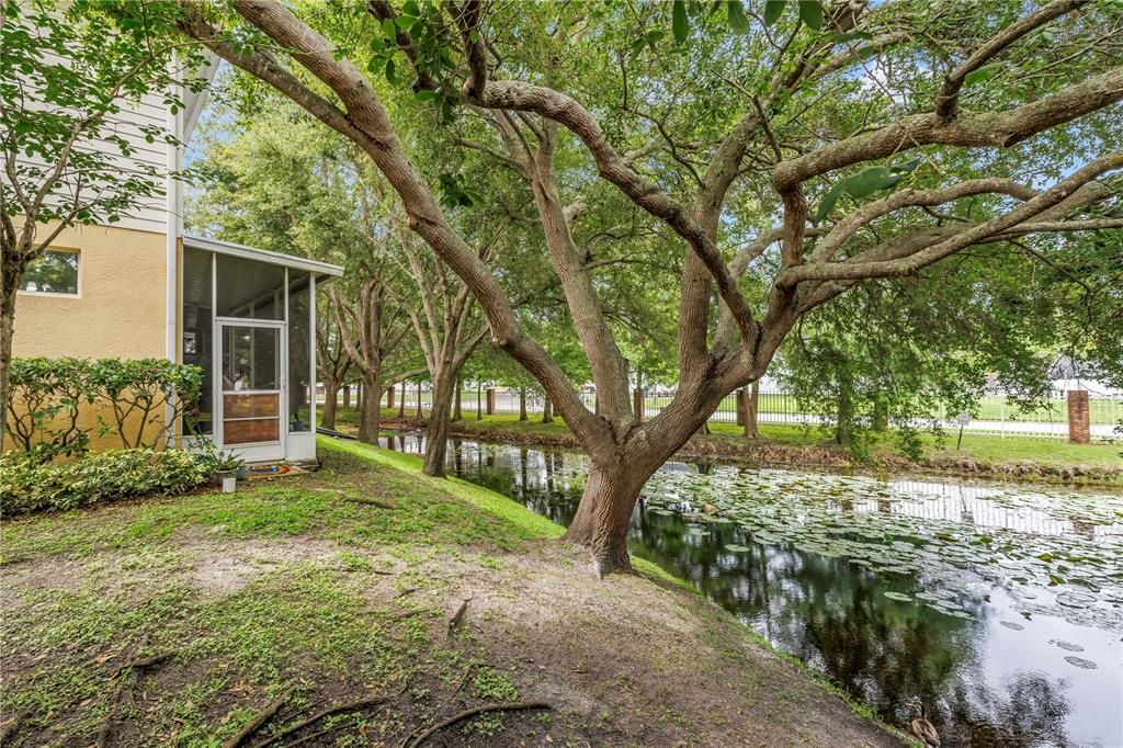 For Sale: $385,000 (2 beds, 2 baths, 1577 Square Feet)