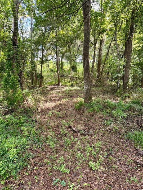 En Venta: $159,950 (5.72 acres)