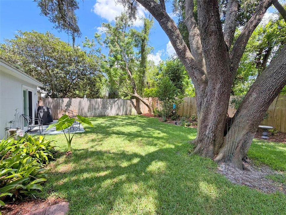 For Sale: $325,000 (3 beds, 2 baths, 1244 Square Feet)