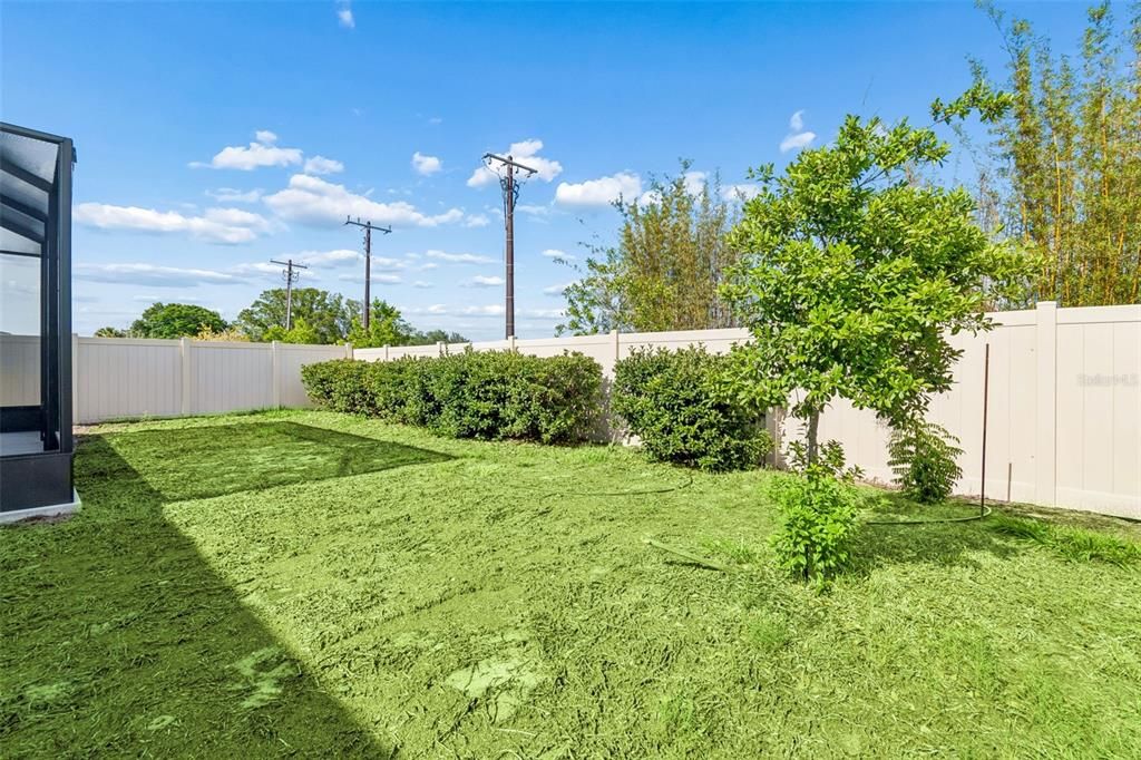 For Rent: $2,950 (4 beds, 3 baths, 2394 Square Feet)