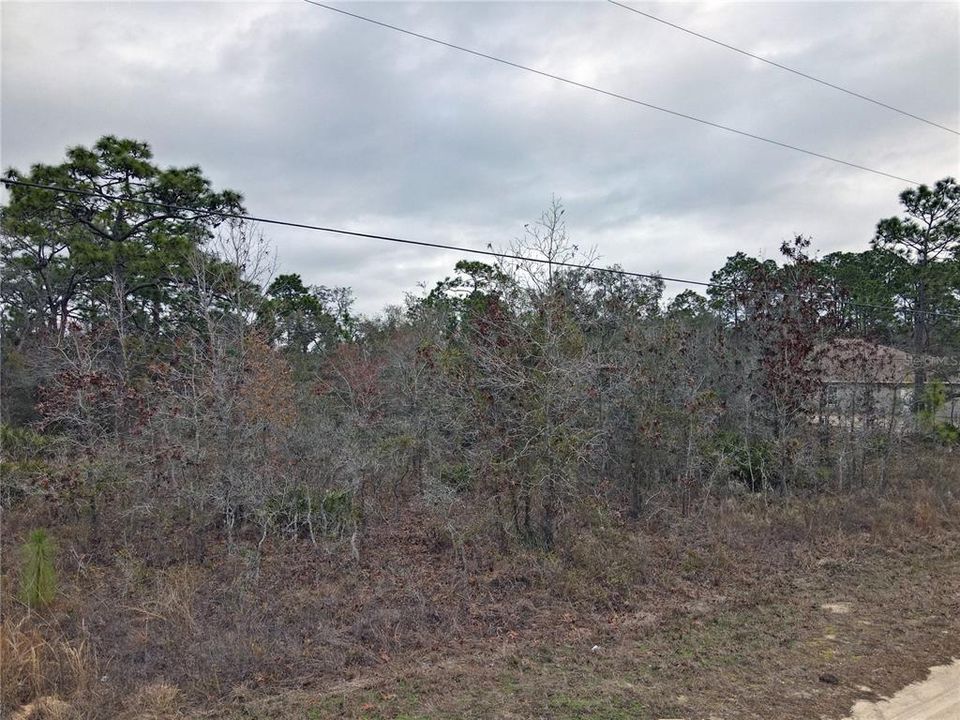 待售: $60,000 (0.94 acres)