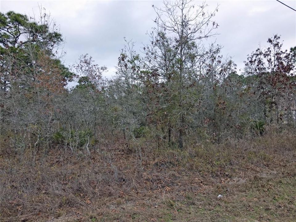 待售: $60,000 (0.94 acres)