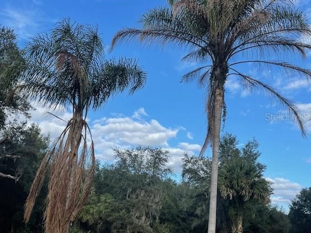 For Sale: $1,599,900 (10.45 acres)