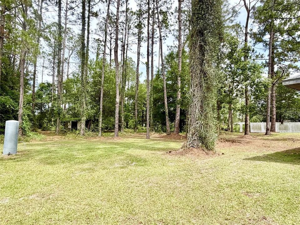 For Sale: $299,900 (3 beds, 2 baths, 1785 Square Feet)