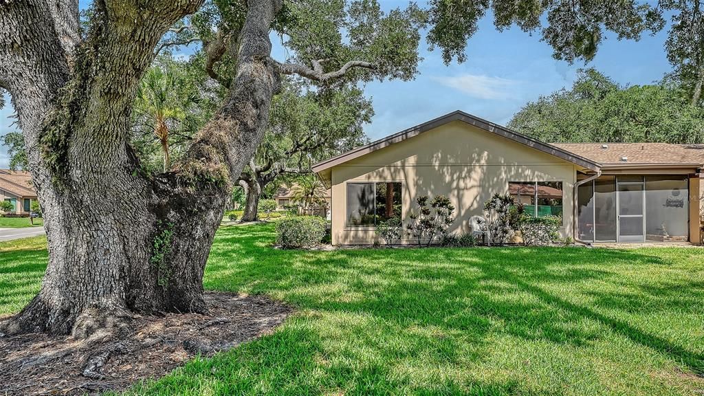 Active With Contract: $215,000 (3 beds, 2 baths, 1679 Square Feet)