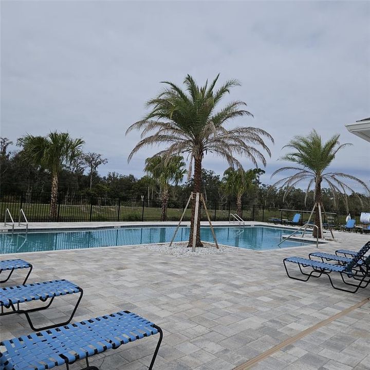 For Rent: $2,800 (4 beds, 2 baths, 1559 Square Feet)