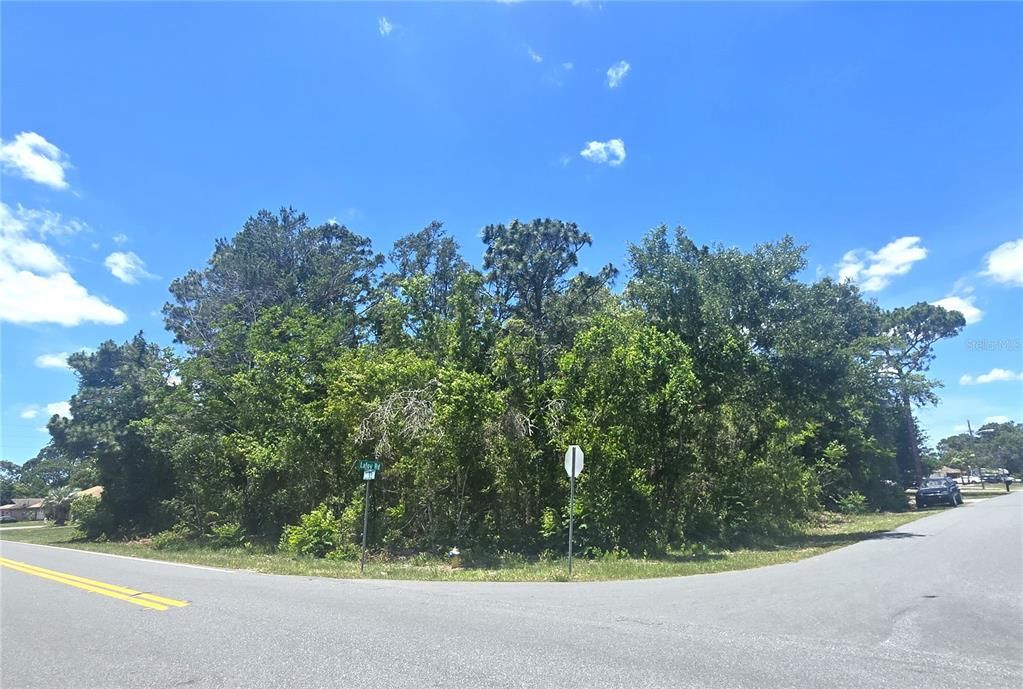 Active With Contract: $69,500 (0.32 acres)