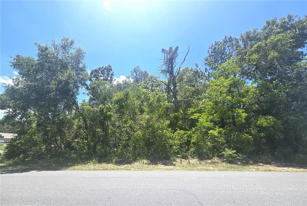 Active With Contract: $69,500 (0.32 acres)