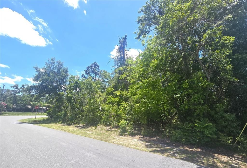 Active With Contract: $69,500 (0.32 acres)