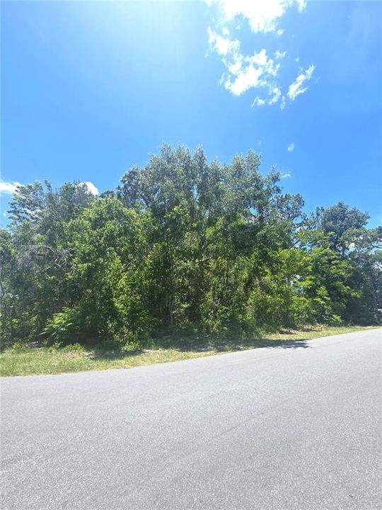 Active With Contract: $69,500 (0.32 acres)