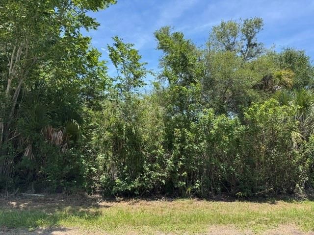 For Sale: $16,500 (0.23 acres)