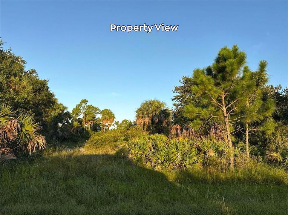For Sale: $13,900 (0.23 acres)