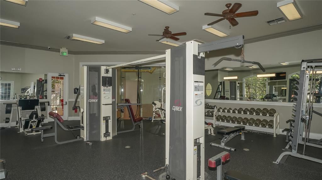 For Rent: $1,495 (1 beds, 1 baths, 661 Square Feet)