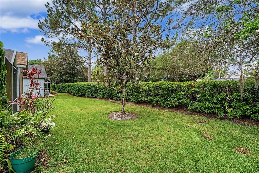 Active With Contract: $315,000 (3 beds, 2 baths, 1705 Square Feet)