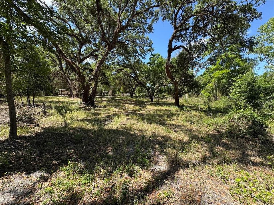 На продажу: $65,000 (0.60 acres)