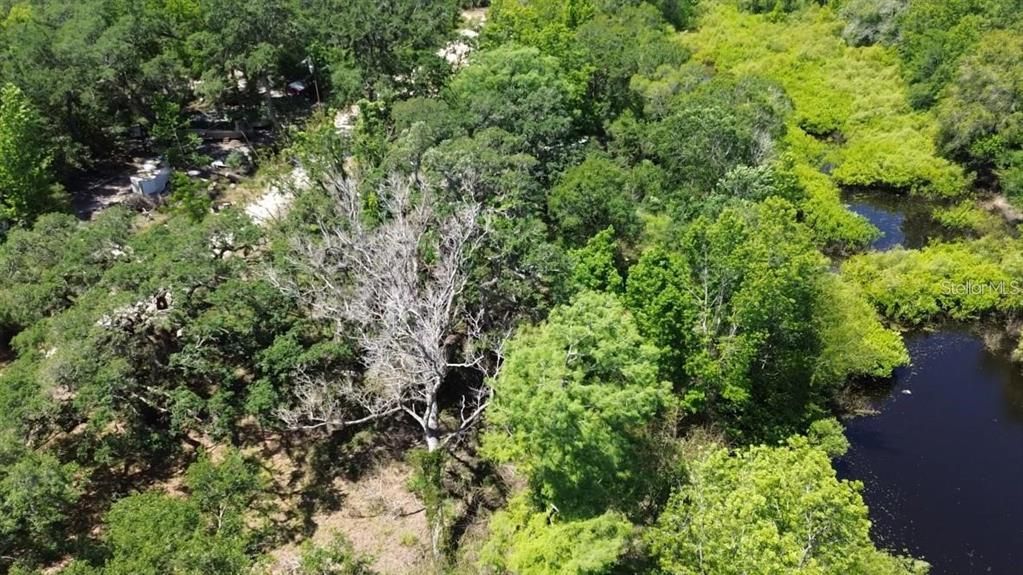 На продажу: $65,000 (0.60 acres)